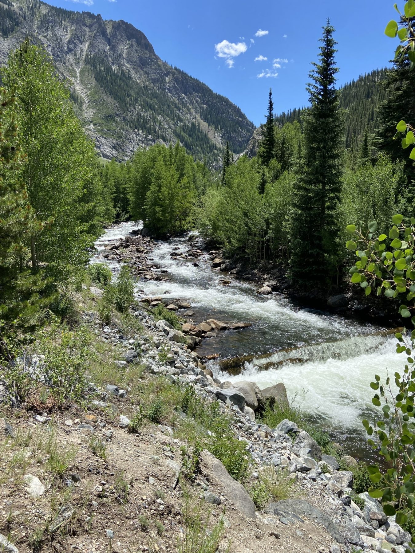 Summerwood Homeowners Association Dillon, Colorado